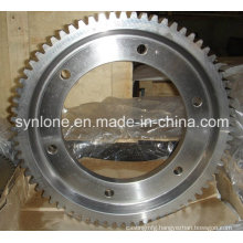 Custom Made Worm Gear with Steel in Hebei, China